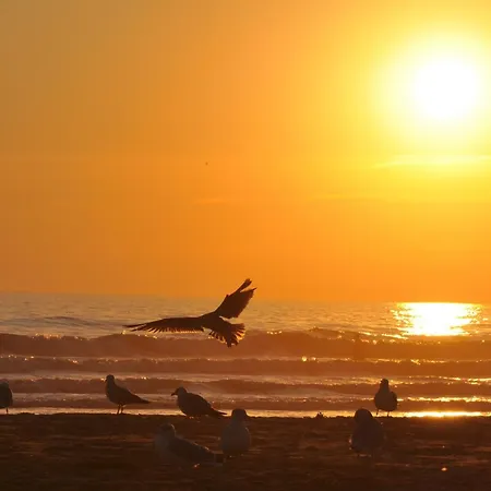 Cosy, 1 Chambre, Balcon, Proche Jean De Monts - Fr-1-323-106 Appartement