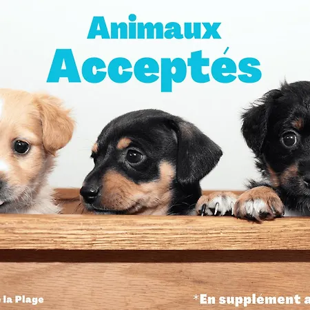 Les Demoiselles Petit Quartier Tres Agreable - Proximite Et Commerces T2 Avec Balcon - Parking Appartement Saint-Jean-de-Monts