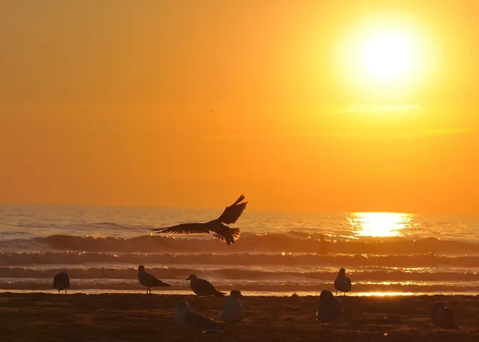 Cosy, 1 Chambre, Balcon, Proche Jean De Monts - Fr-1-323-106 Appartement