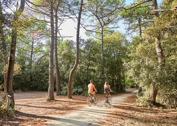 Appartement Cosy, 1 Chambre, Balcon, Proche Jean De Monts - Fr-1-323-106